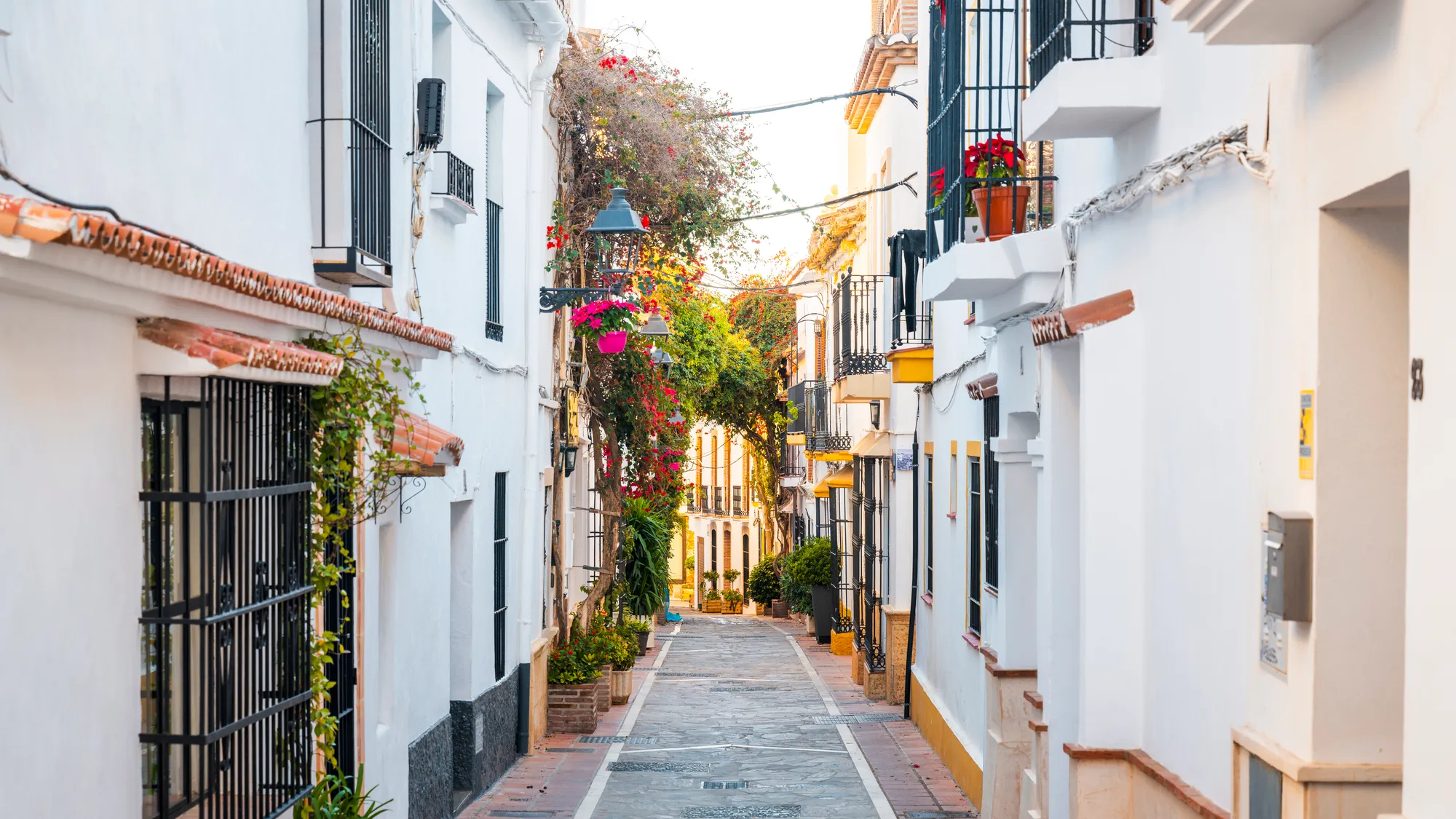 Whitewashed street with bougainvillea in Marbella old town