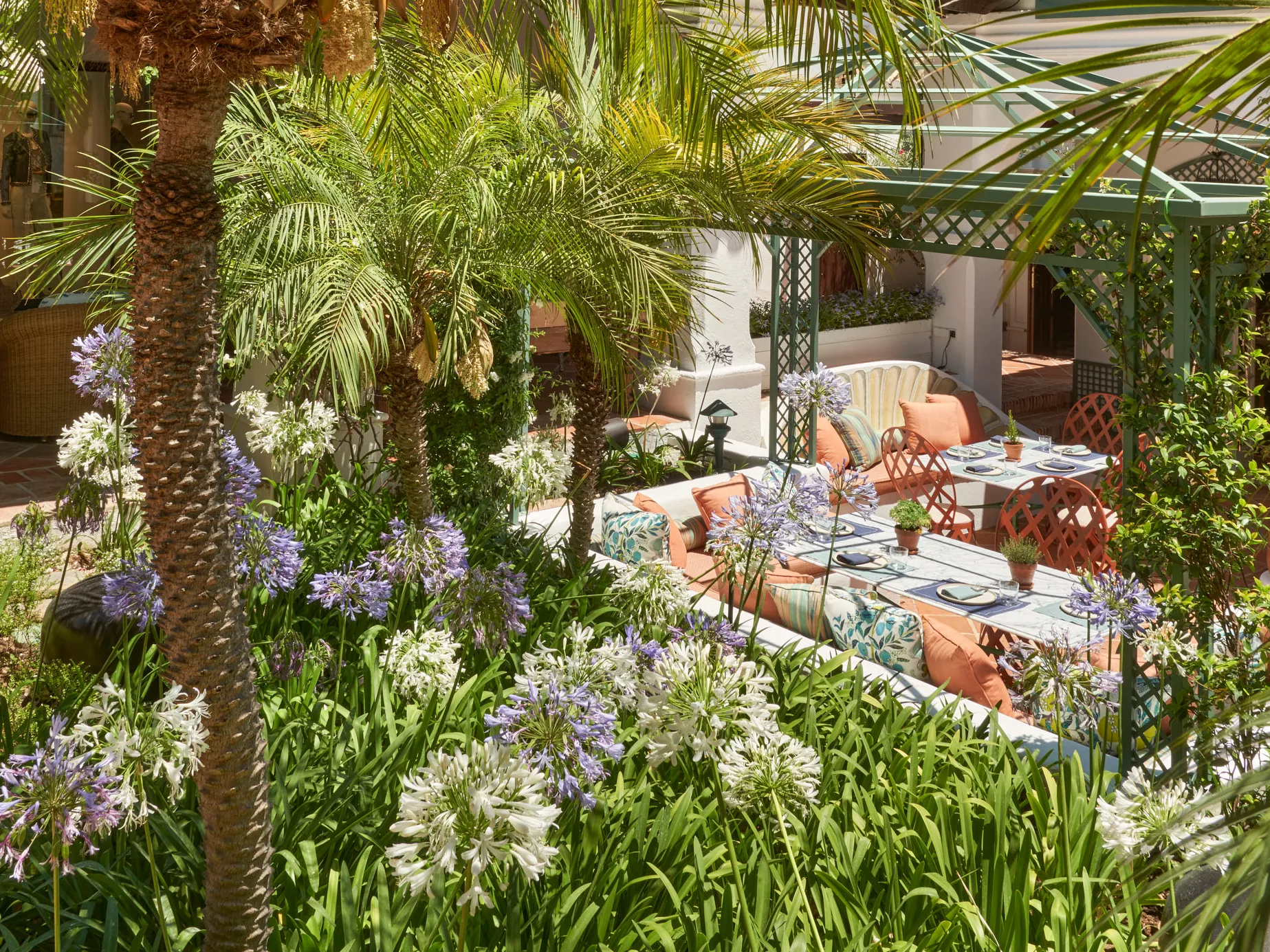 Lush Mediterranean garden with agapanthus and palms on the Golden Mile